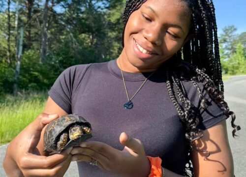 SWT25 SWDAStudent (120)